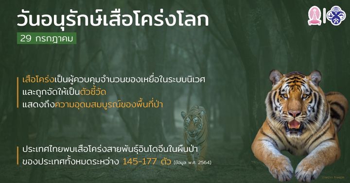 311245855637987_406591844835666
